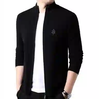 PIERRE CARDIN