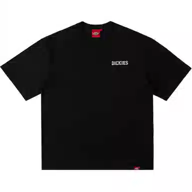 Dickies s logo T DK0A87MK