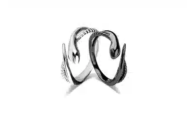 IYOU ins
