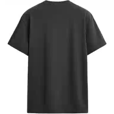 ZARA T