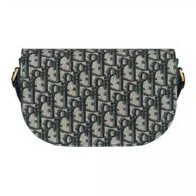 Dior CD Signature Oblique Bag