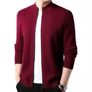 PIERRE CARDIN 100