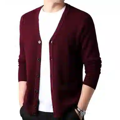 PIERRE CARDIN 100
