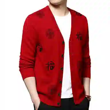 PIERRE CARDIN 100