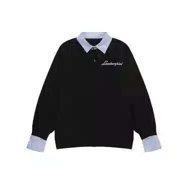 Automobili Lamborghini Polo