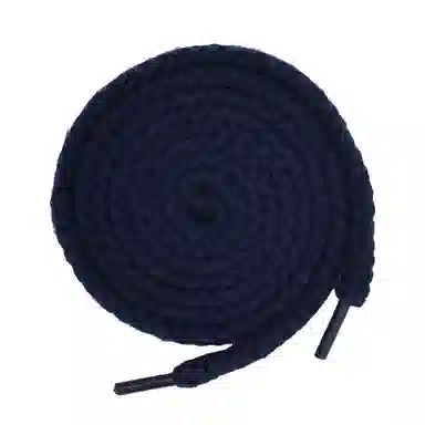 ZUOWEISHIJIA ProAJ1DUNK