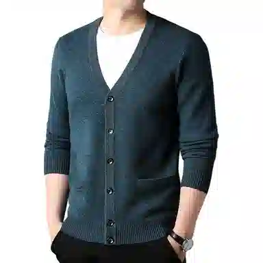 PIERRE CARDIN 100v