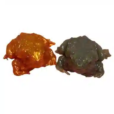 咕轹 癞蛤蟆捏捏乐 玩具