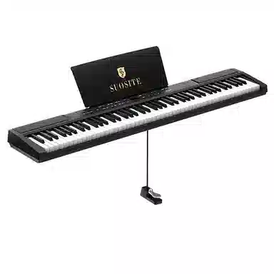 SUOSITE SUOSITE-DW302 88