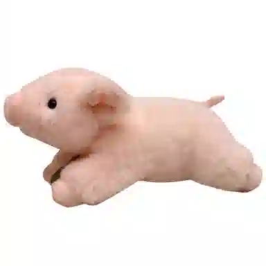 20cm40cm