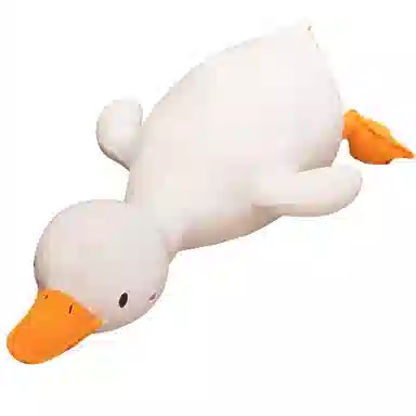 JBBCN 70cm90cm120cm150cm170cm