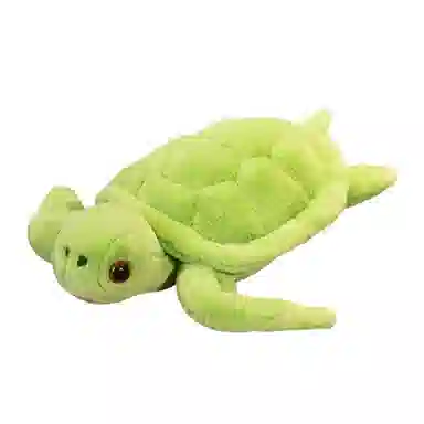 45cm65cm