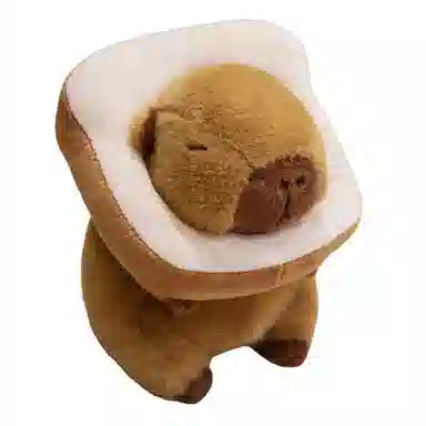 22cm