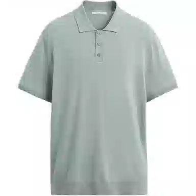 ZARA Polo