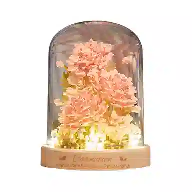 OLOEY 339pcs362pcs402pcs OLOEY-JM-