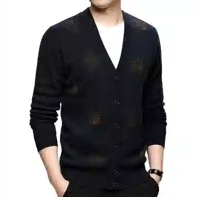 PIERRE CARDIN 100