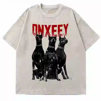 Qnxeey logoinsT
