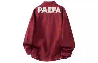 PAEFA logo