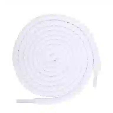 ZUOWEISHIJIA ProAJ1DUNK