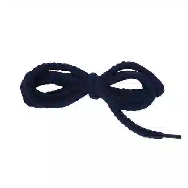 ZUOWEISHIJIA ProAJ1DUNK