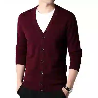 PIERRE CARDIN 100v
