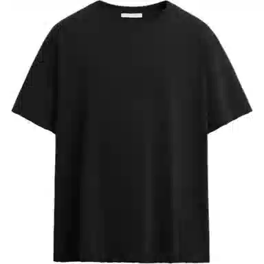ZARA T