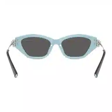Tiffany & Co. Irregular Sunglasses