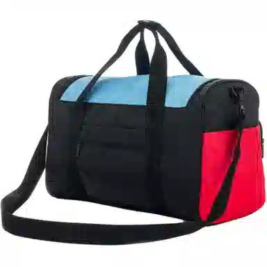 LeSportsac 21L