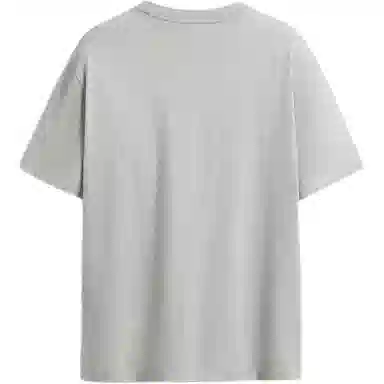 ZARA T