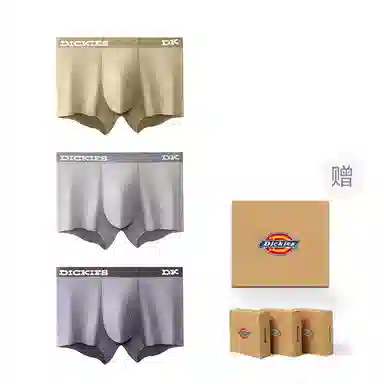 Dickies 3