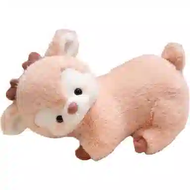 30cm
