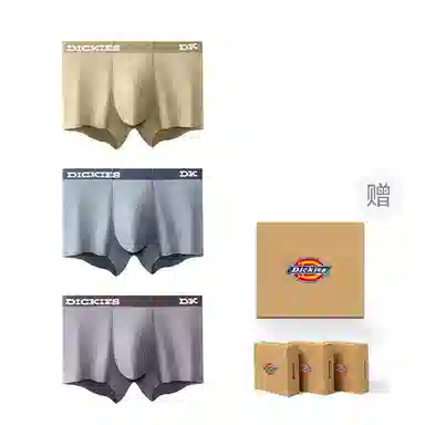 Dickies 3