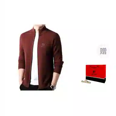 PIERRE CARDIN