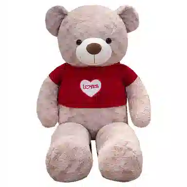 100cm120cm140cm160cm180cm200cm