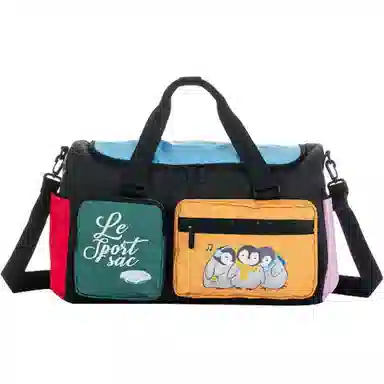 LeSportsac 21L