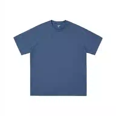 PVPVPV T