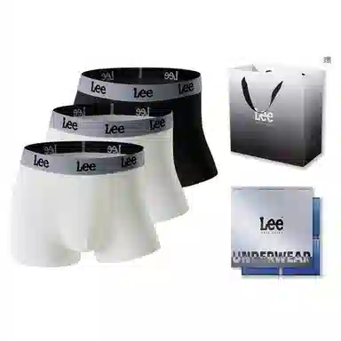Lee 3