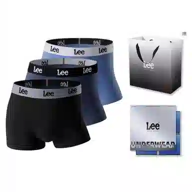 Lee 3