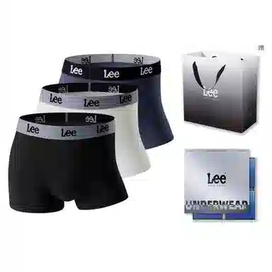 Lee 3