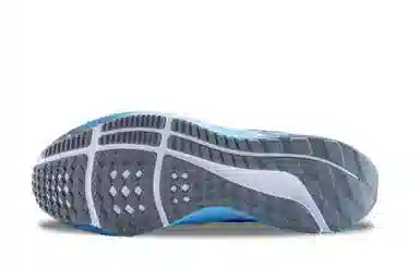 Nike Air Zoom Pegasus 39