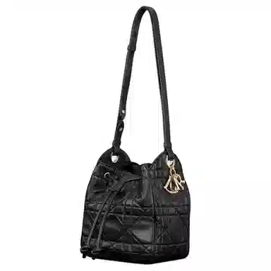 DIOR D-Motion