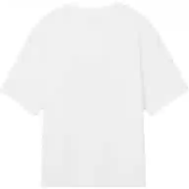 levis T
