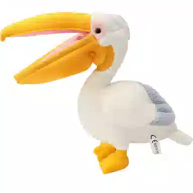 30cm
