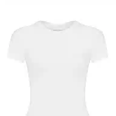 Alexander McQueen T