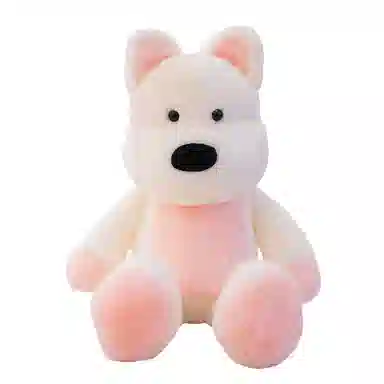 JBBCN 55cm75cm