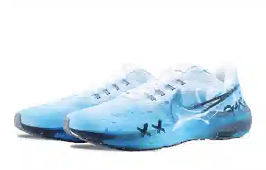 Nike Air Zoom Pegasus 39