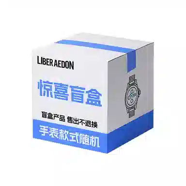 LIBER AEDON Quartz Silver Dial Watch