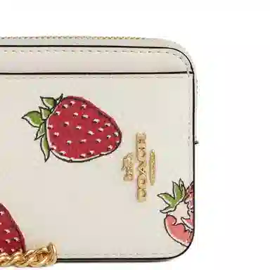 COACH Card Case Zip 11