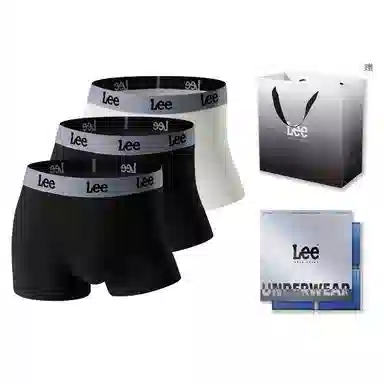 Lee 3