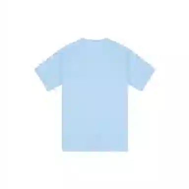 Converse T